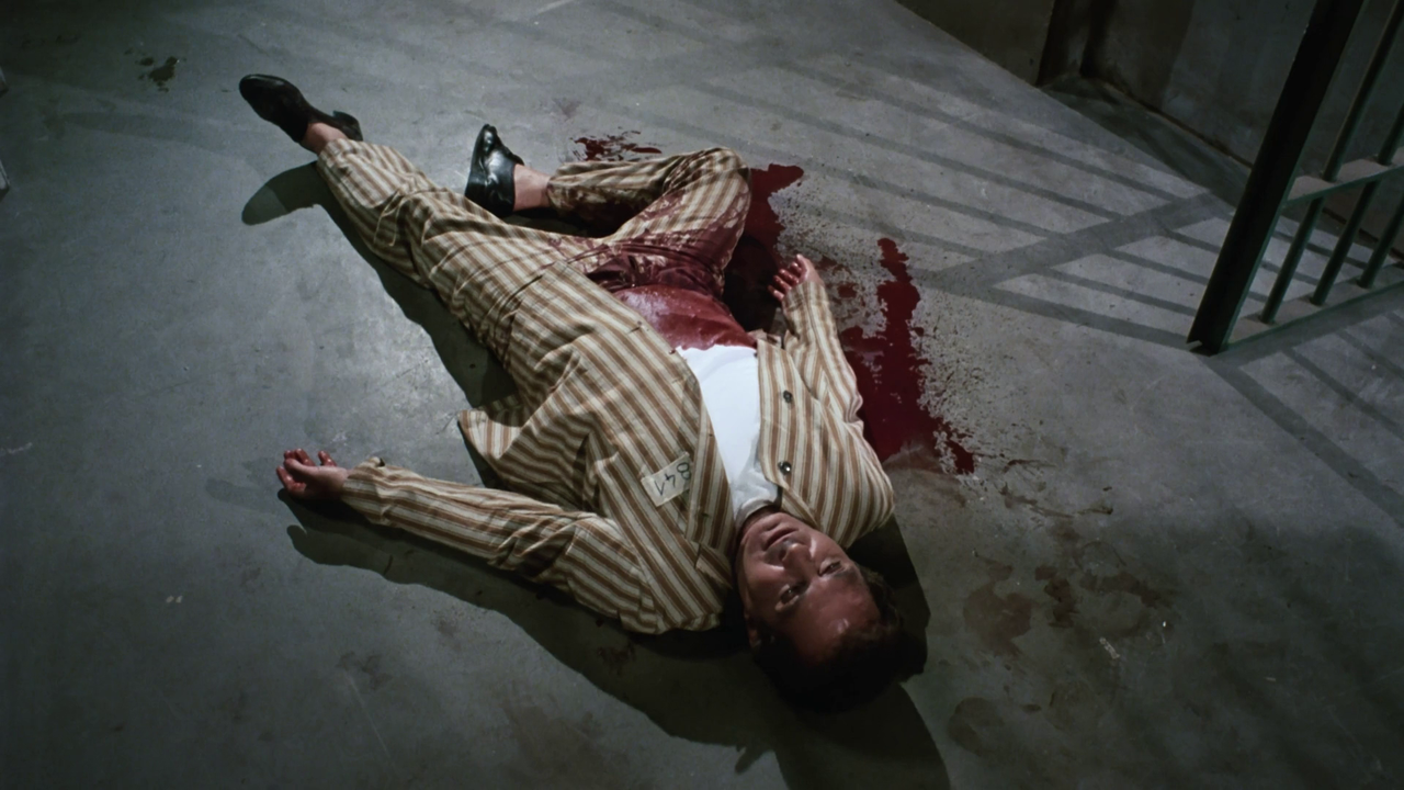 vlcsnap-2025-03-05-09h51m31s021