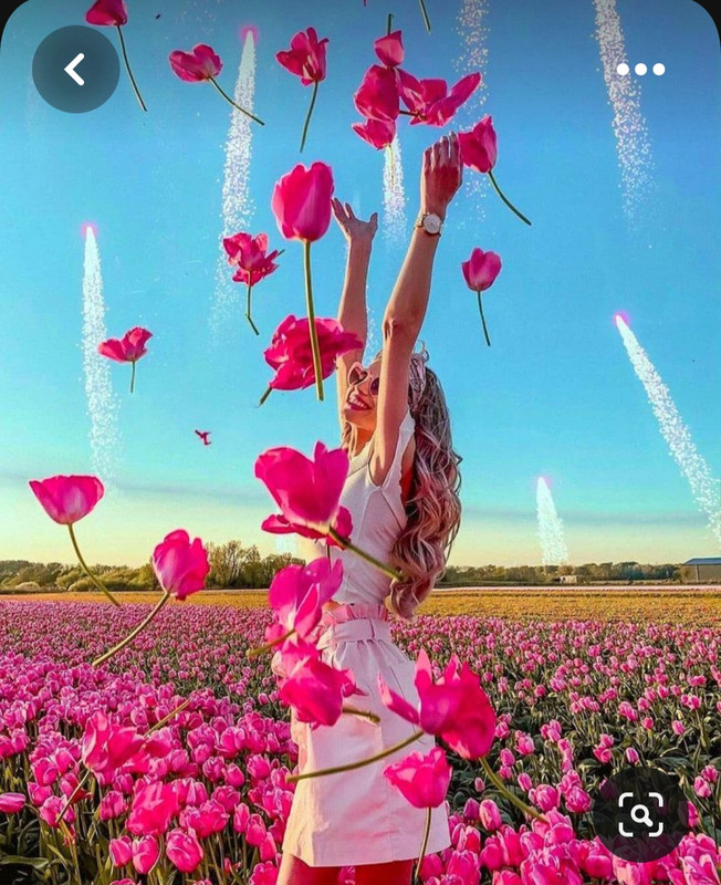 Screenshot_20230719_215340_Pinterest