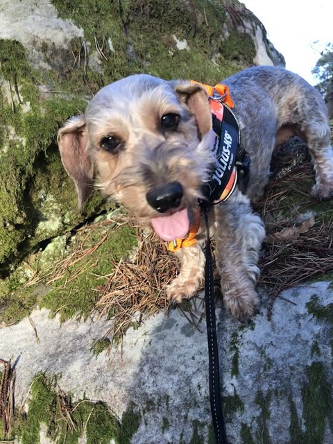 [Image: BF848718-8618-4-DAD-AE8-E-1568-CD1610-B6.jpg]