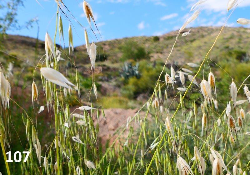 107 potty finca inbound1311945931122376541