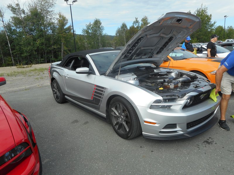 Rendez-Vous Mustang Cliche Auto Ford - 14 août 2022 Cliche2022-32