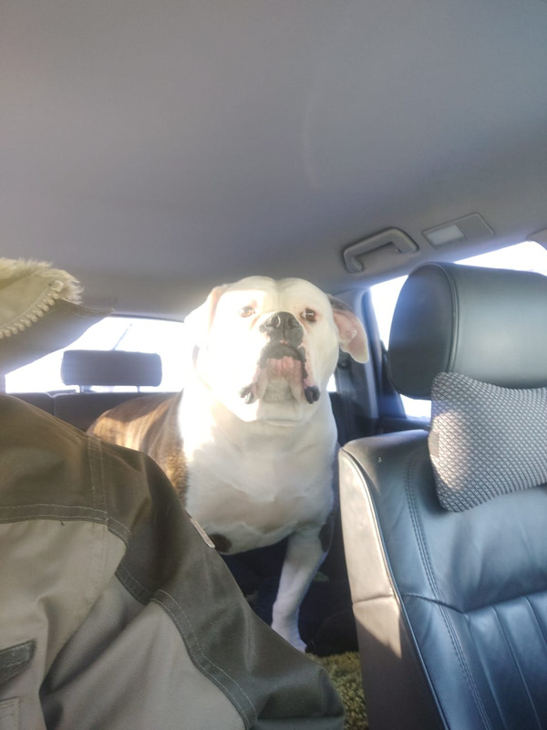 30B9FCDF-C4F7-48E0-9B48-69758DF8C90C