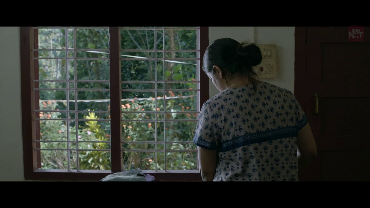 vlcsnap 2026 02 11 15h36m25s333