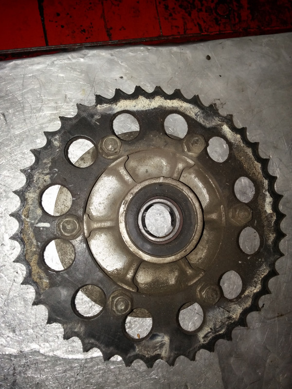 CAM01485