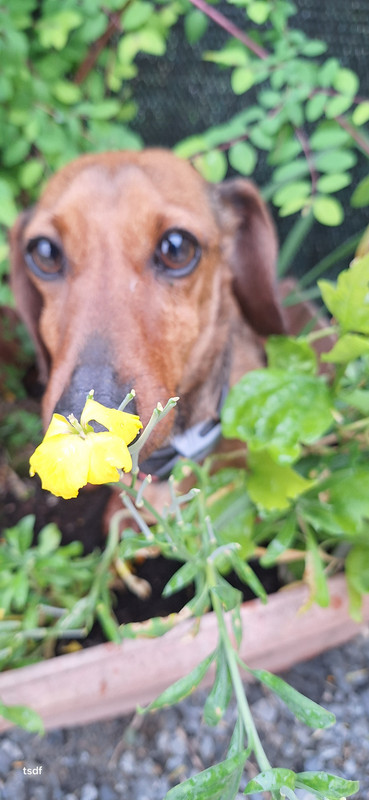 [Image: 20250512-094104.jpg]