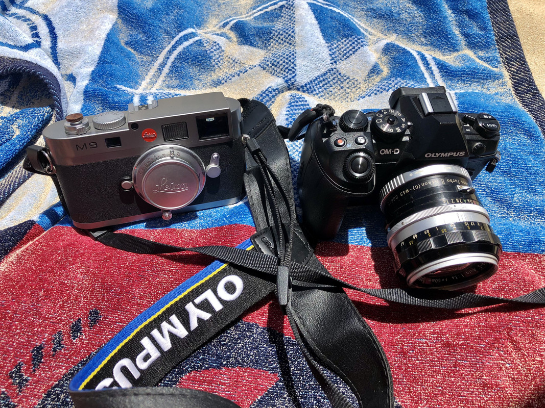 9647F09B-2F25-4C49-A477-CA6F45172BBA