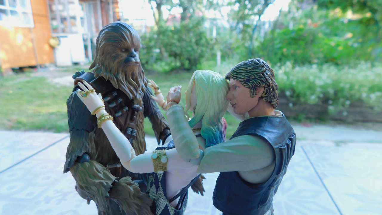 Дачно-барбейское июль, Харлинское 2-я серия 217