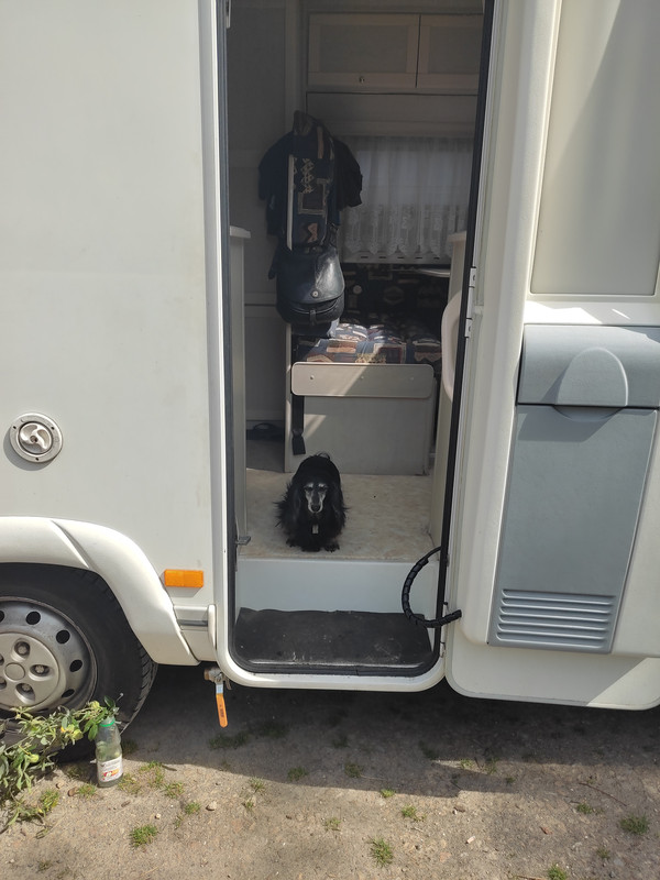 [Image: IMG-20230718-115217.jpg]