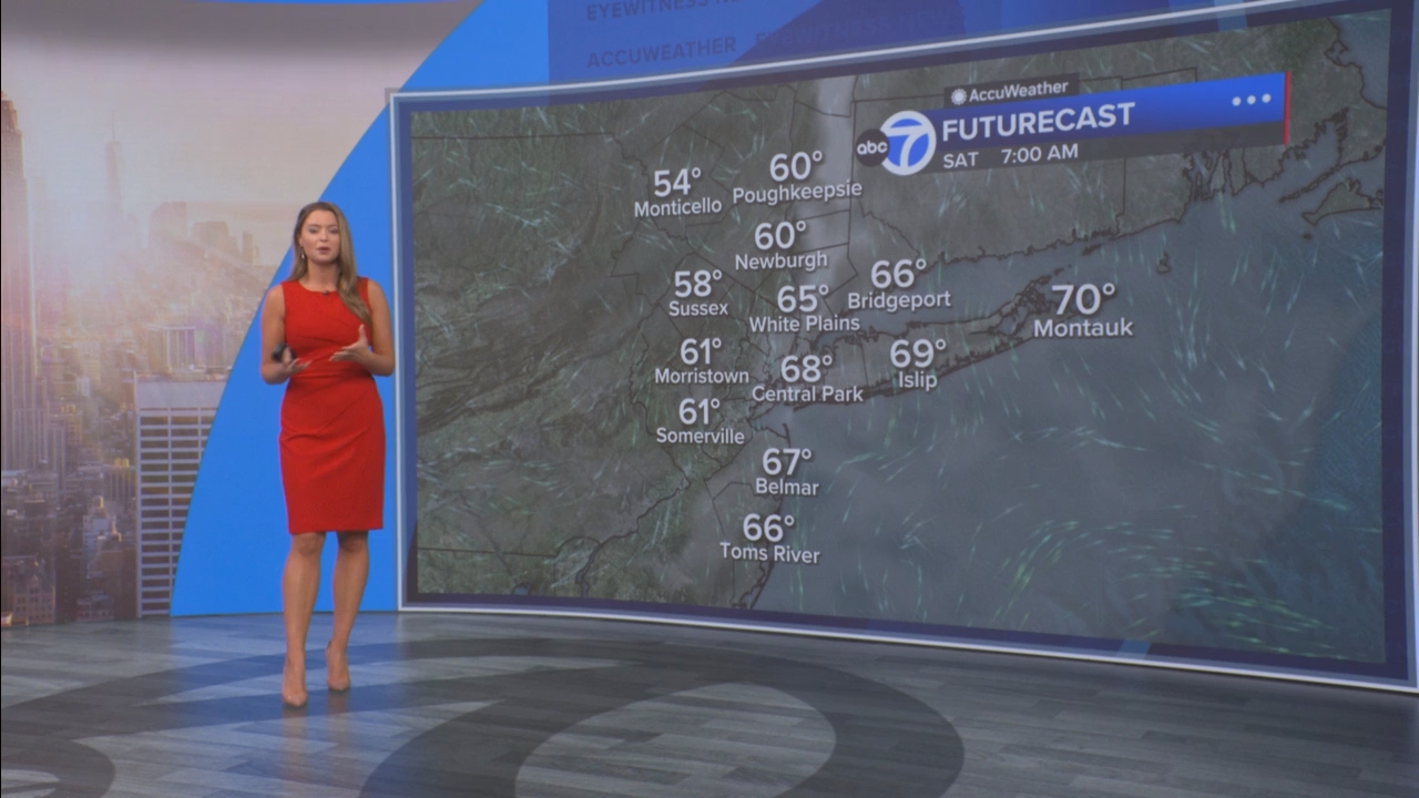 Eyewitness News Mornings at 10_20250704_15001600.ts_snapshot_00.21.33.509