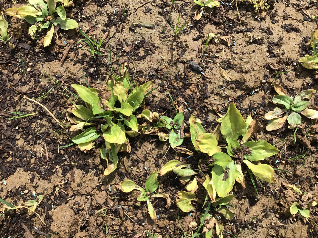 A4D97F25-BF33-4B19-8E51-F1893BCFC05E