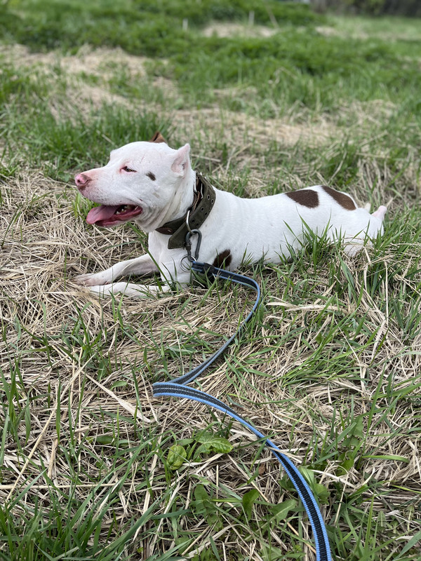 C18C839D-0B1D-429E-A65A-B3F2B4FE78C2