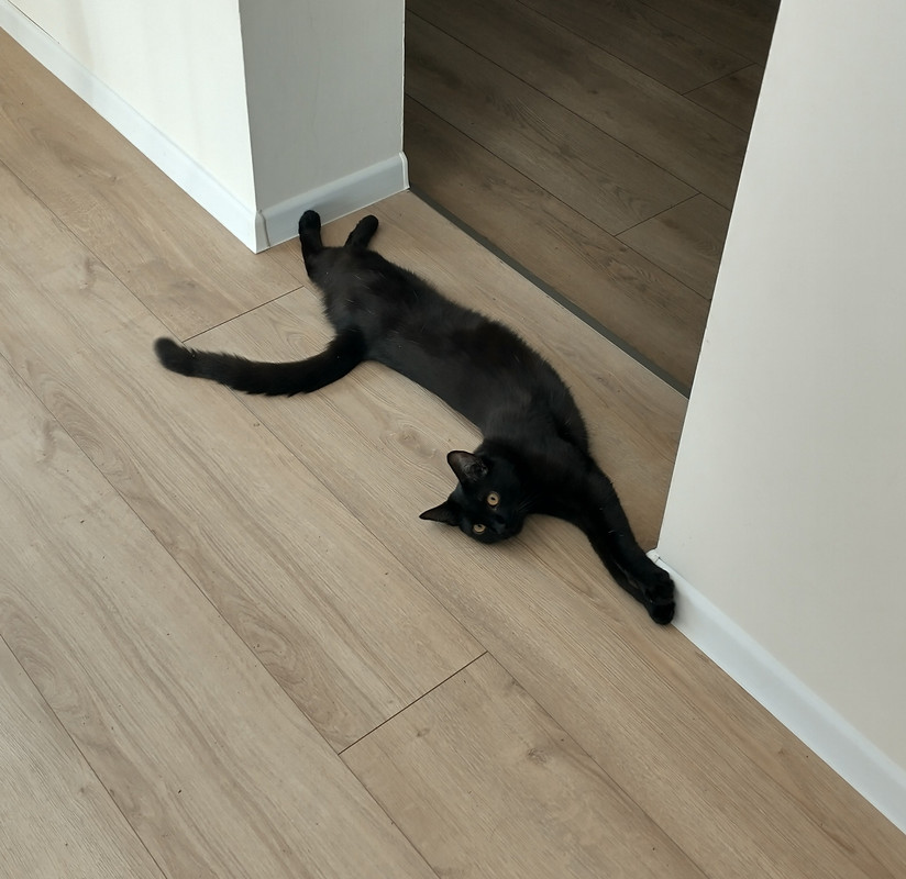 IMG_20250722_165944231_HDR~2