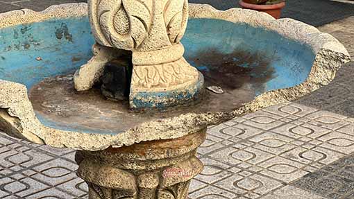 IMG-7271