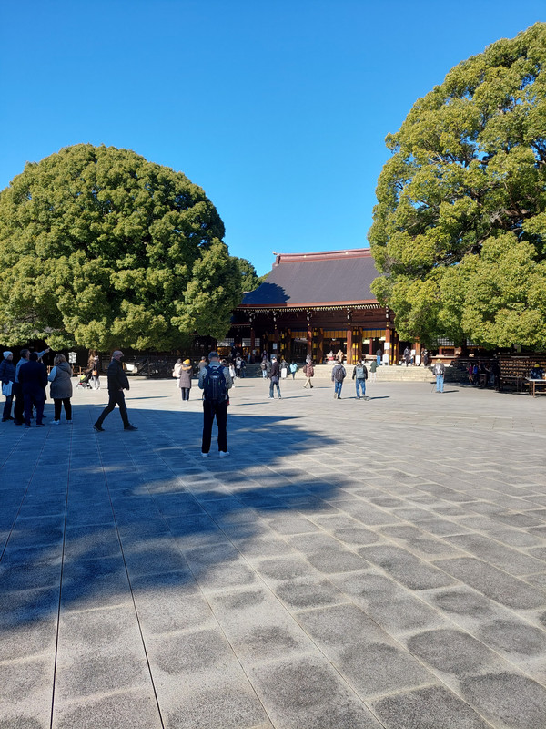 16710735348004308191408735441386