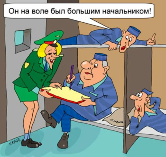 https://i.postimg.cc/vmX77ngs/i.webp