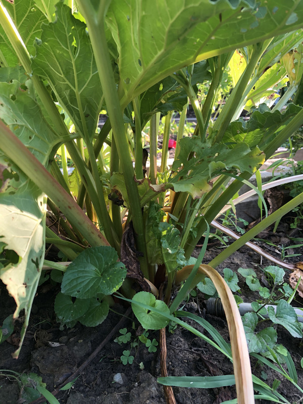 D23FE144-8DA7-436E-96B5-29E9CD8C2100