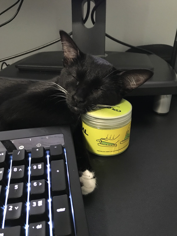 233A213A-5AE6-457C-A1DC-C18B7B205860