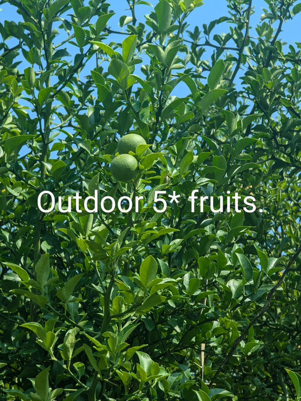 PXL_20240705_141951669~2