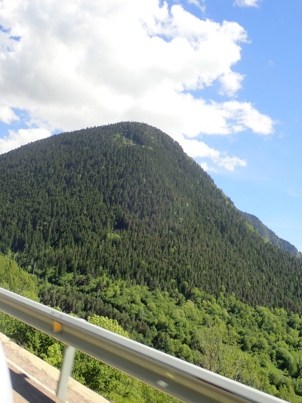 63D2D892-613D-47C2-9E6E-B12B57F3AC34