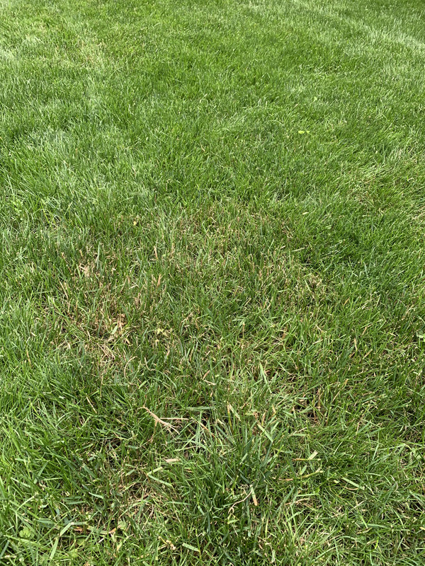 4A4E1A91-4886-4A16-A96B-F2E6E8D29721