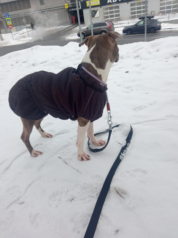 F198AC68-DEB2-4119-A1A2-72277E51232F