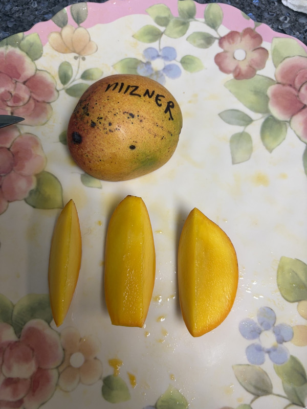 Mizner Mango