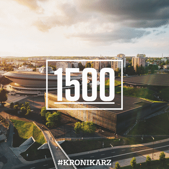 Embellished-Immediate-Leafcutterant-size