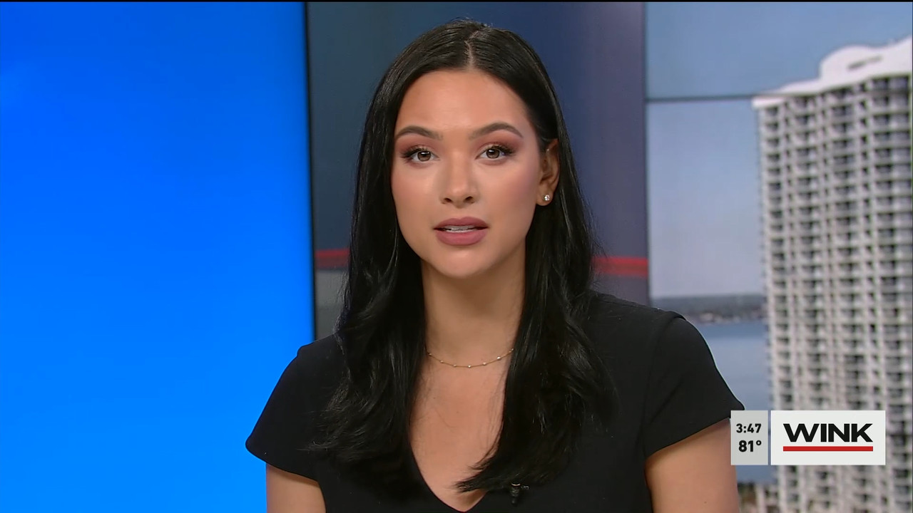 03.21 - 19.00.00 - WINK News at 3pm  ᴺᵉʷ..ts_snapshot_00.53.35.659