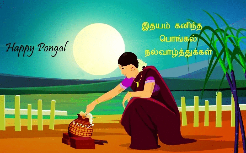 Pongal1.gif