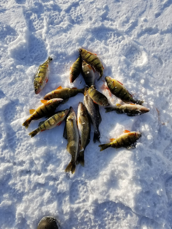 20180110_153341