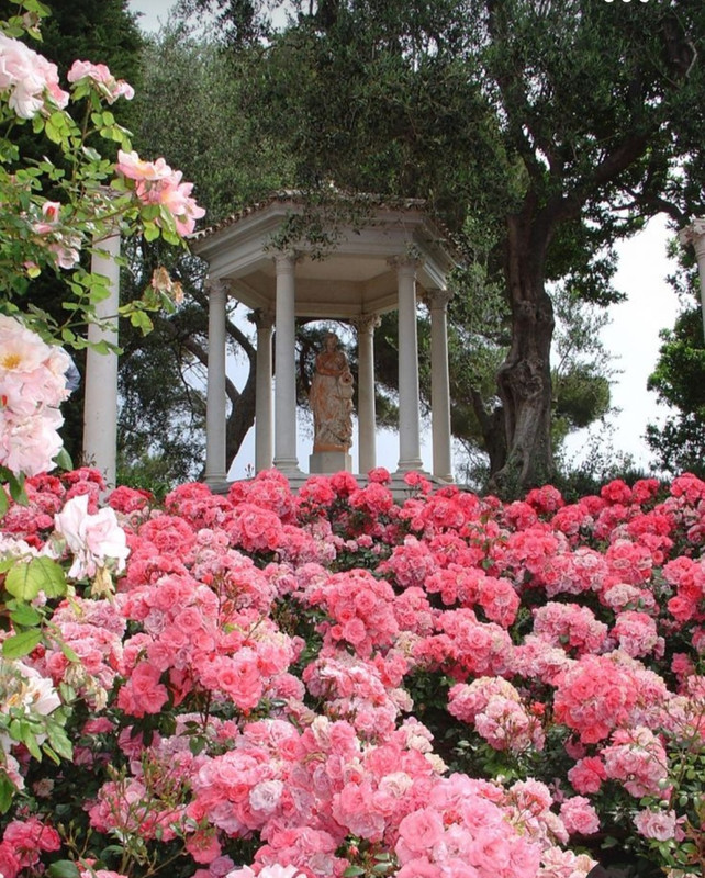 Screenshot_20231107_211827_Pinterest