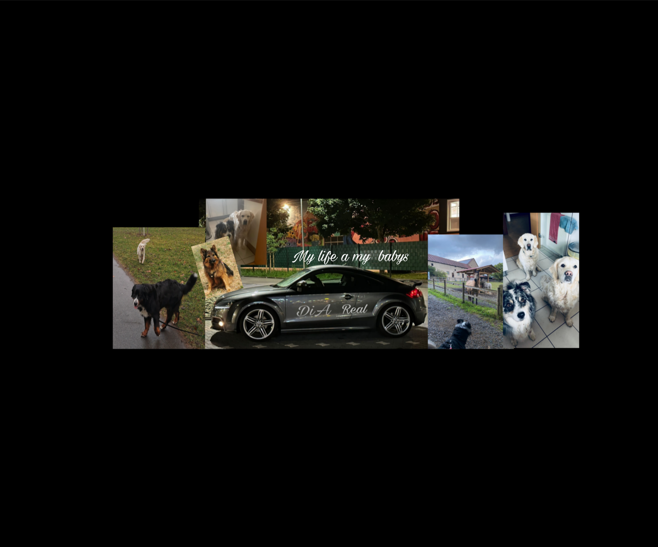 Picsart 26 01 01 11 16 10 414