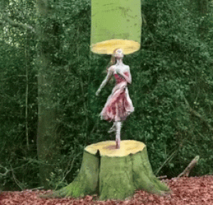 IMG-7386.gif