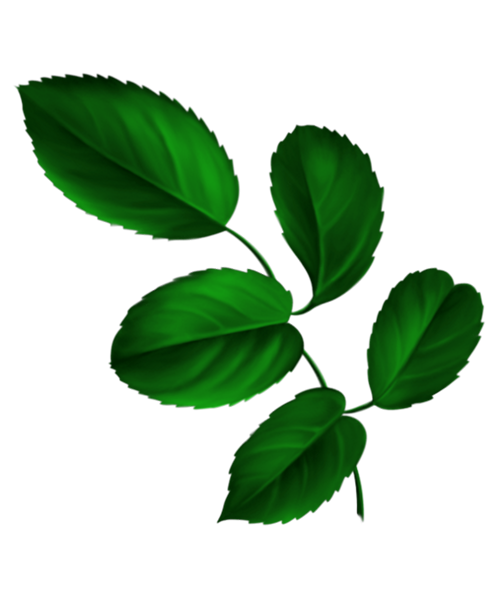 TADD_BrownLove_elements (103)