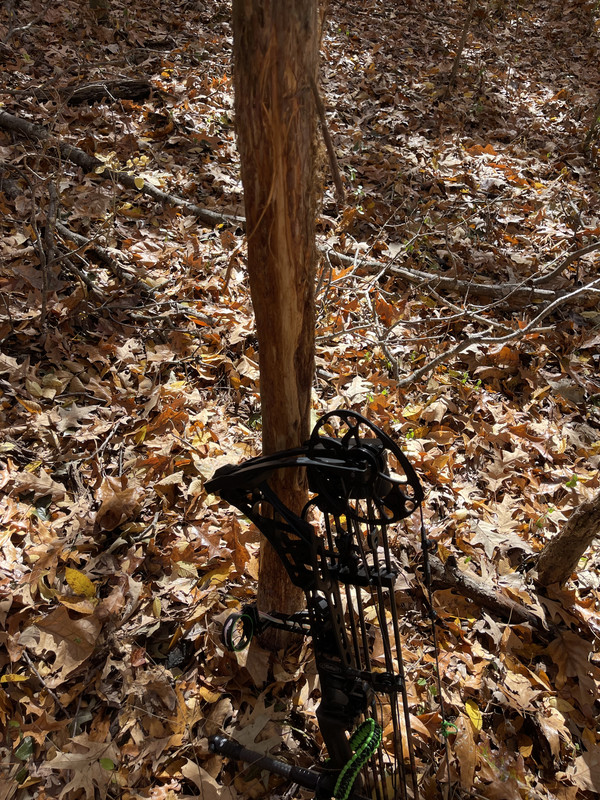 E84113DA-5FFB-4BD4-8B62-EB0B36309FCD