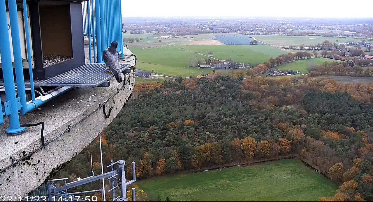 screenshots va 2 november 2023 © VWGGemert - Pagina 5 2023-11-23-145443