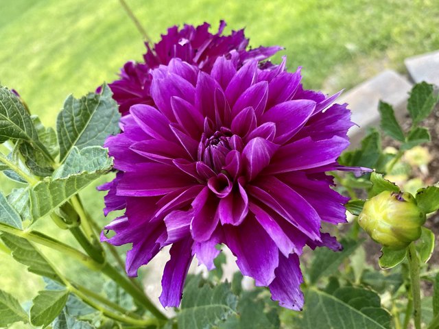 [Image: 45658-BE4-9862-4-FD7-B28-B-954-C9-F05-ABA8.jpg]