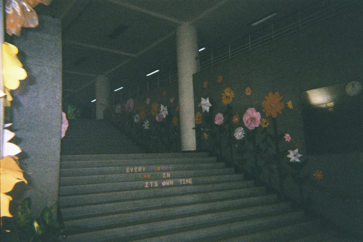Colorplus-55-resize
