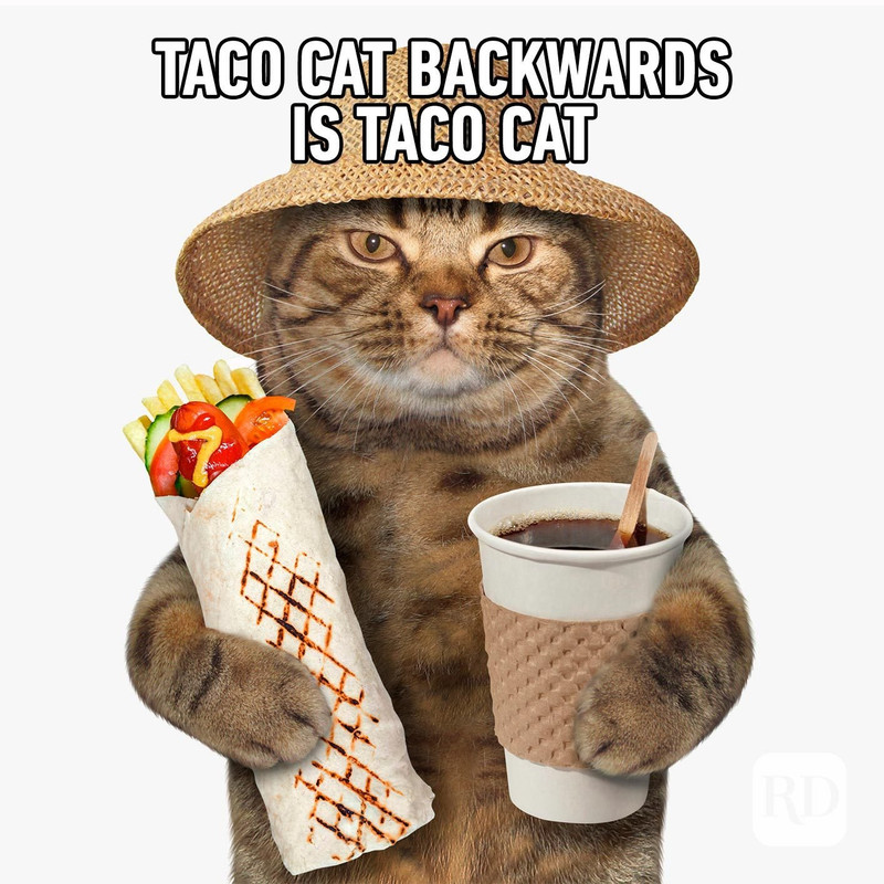 27-Tacocat.jpg