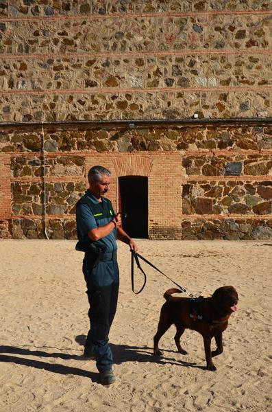 Exhibición Guardia Civil-30-9-2016 - Toledo y sus pueblos-1996/2026 (11)