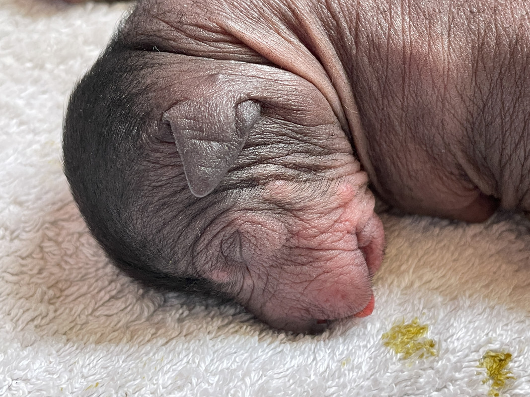 B25A02DB-D09D-4762-B751-EAA189731902