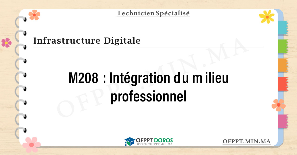 Sommaire détaillé du cours Intégration du milieu professionnel M208 OFPPT - Structure du module
