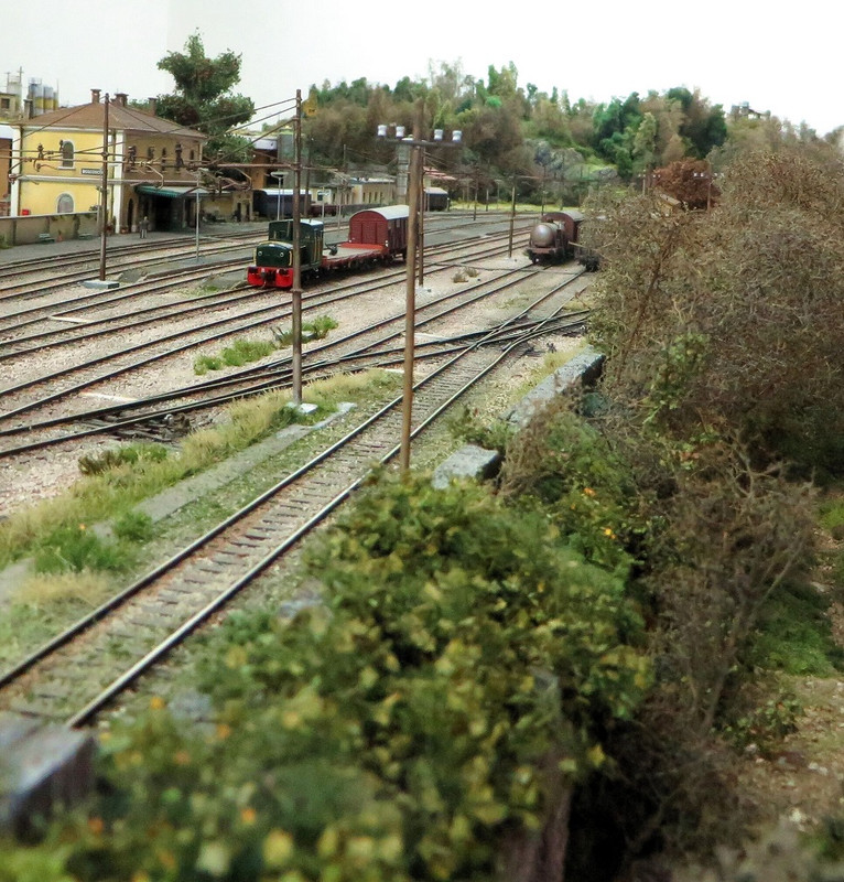 IAMG_5772 (75)_proc_proc