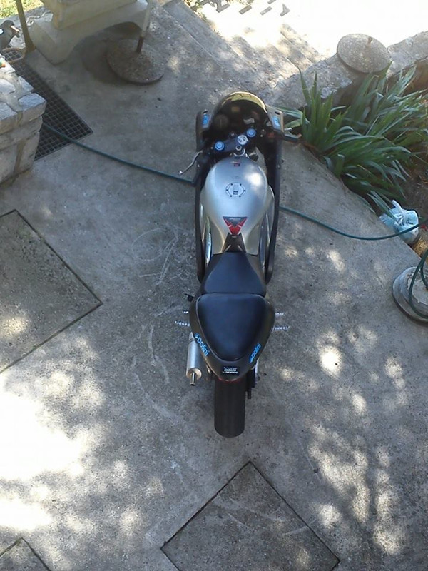 1001515_10201203313397229_49032998_n