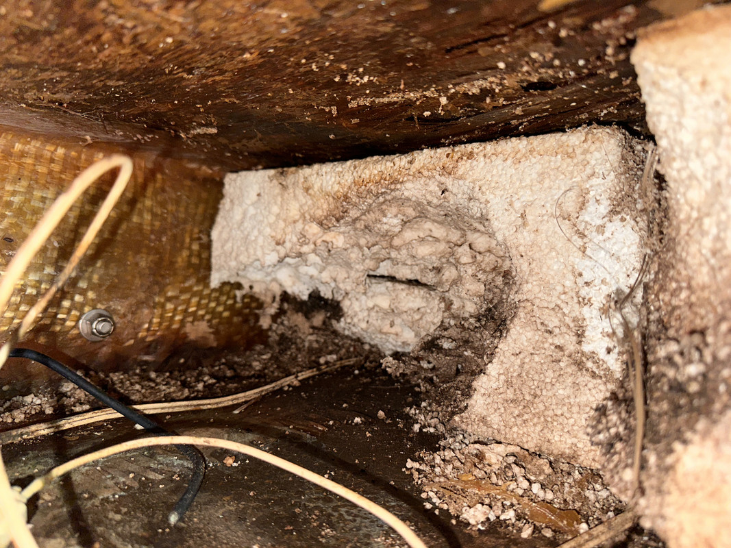 6F846EB6-2ED2-4FC5-9ACB-25953C89CD2A