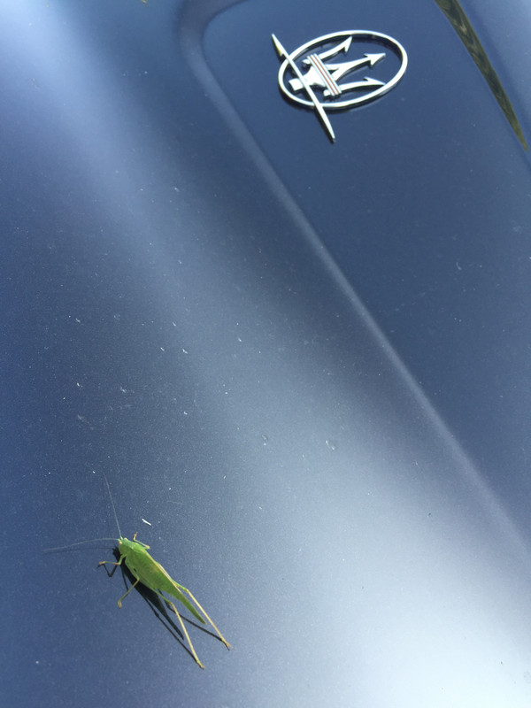 FA86B852-F651-4C34-9946-BABF457EDF5D