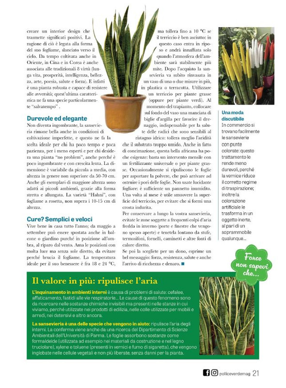 Pol Ver Set 2023 (4)