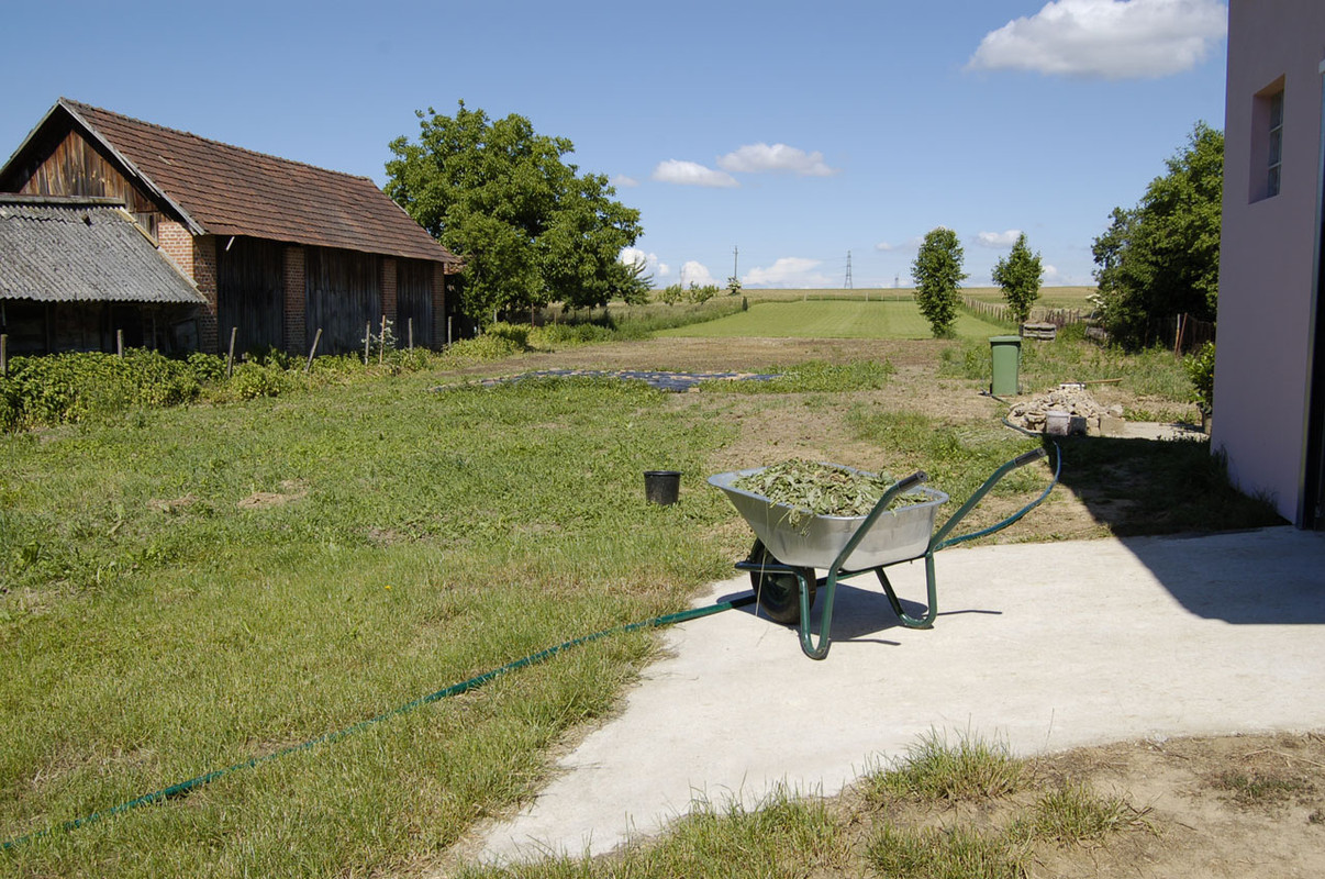 Gartenarbeiten Zwischenstand (1)