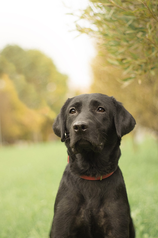 IMG-de0a97ffd63bd81f93f94bef65e93ec4-V