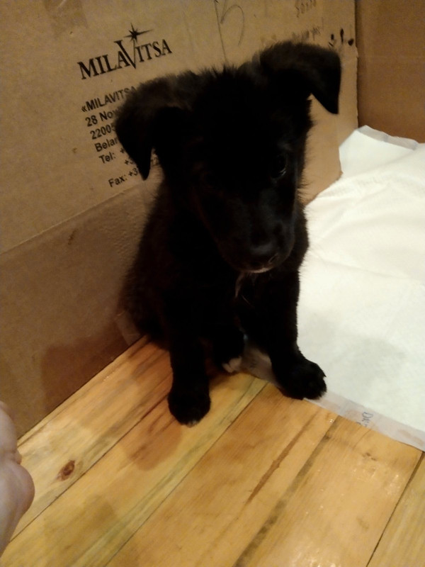 BCDDC6AF-1495-4A18-ABAD-A1CDD96B35C1